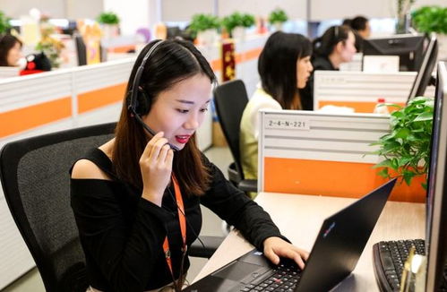 6類適合“老實人”的工作 在信息咨詢服務(wù)領(lǐng)域，找到人際關(guān)系簡單、工資高又能做長久的職業(yè)港灣