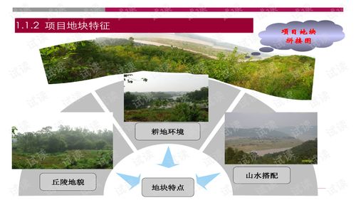 世聯(lián)重慶大型旅游地產(chǎn)項目策劃報告